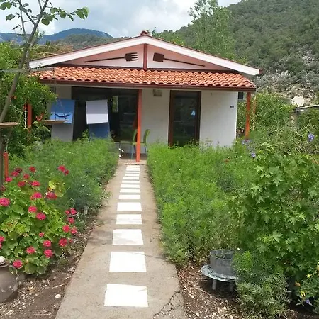 Yalili Dalyan